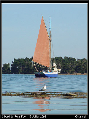 19_petitfoc20030712
