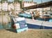 02_petitfoc20030712