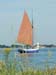 18_petitfoc20030712